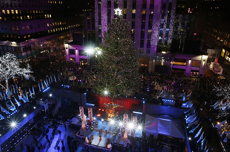 Орон орны өвөрмөц гацуур модод